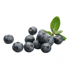 e-liquid blueberry flavor concentrate